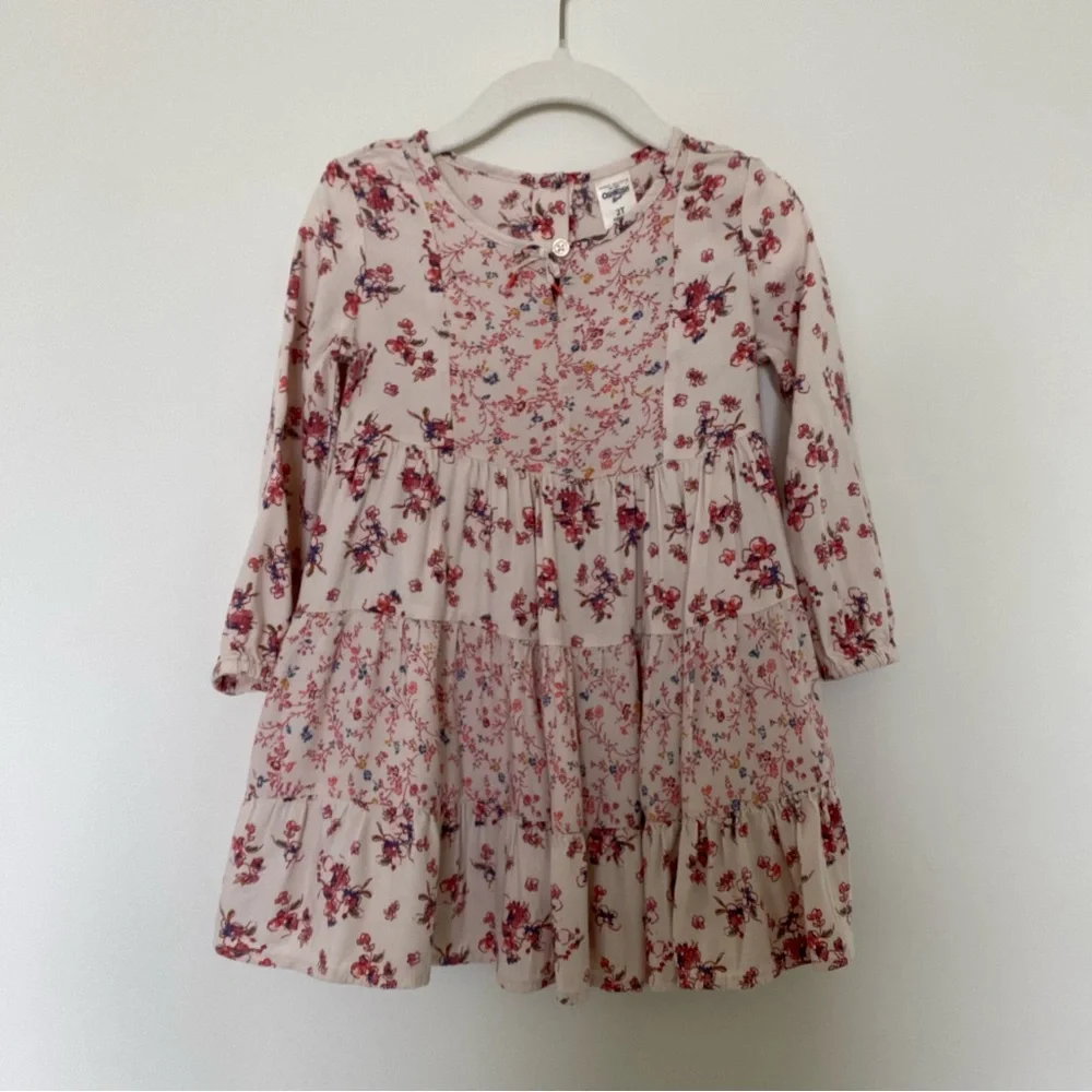 OshKosh B'gosh Pink and Red Floral Blouse